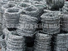 镀锌刺绳