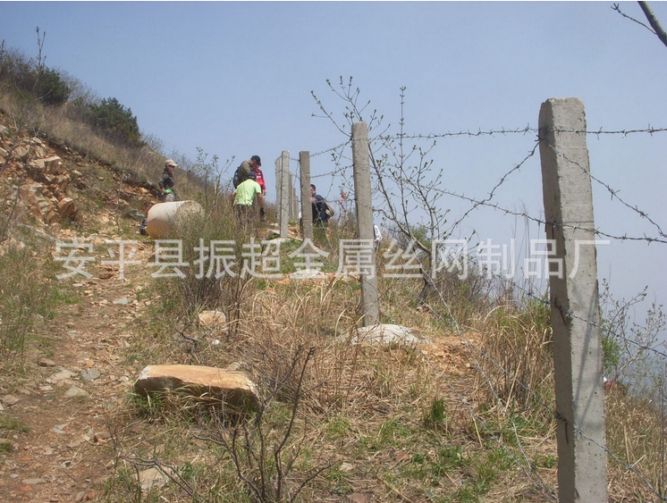 隔离用铁丝网 隔离用铁丝网规格