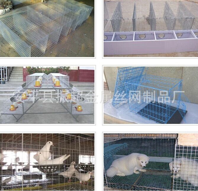 养殖电焊网 安平县振超金属丝网制品厂-www.czhyzscl.cn