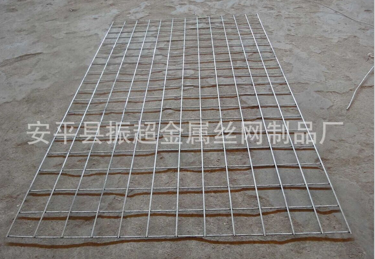 苗床电焊网 安平县振超金属丝网制品厂-www.czhyzscl.cn