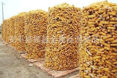 圏玉米电焊网 电焊网-www.czhyzscl.cn